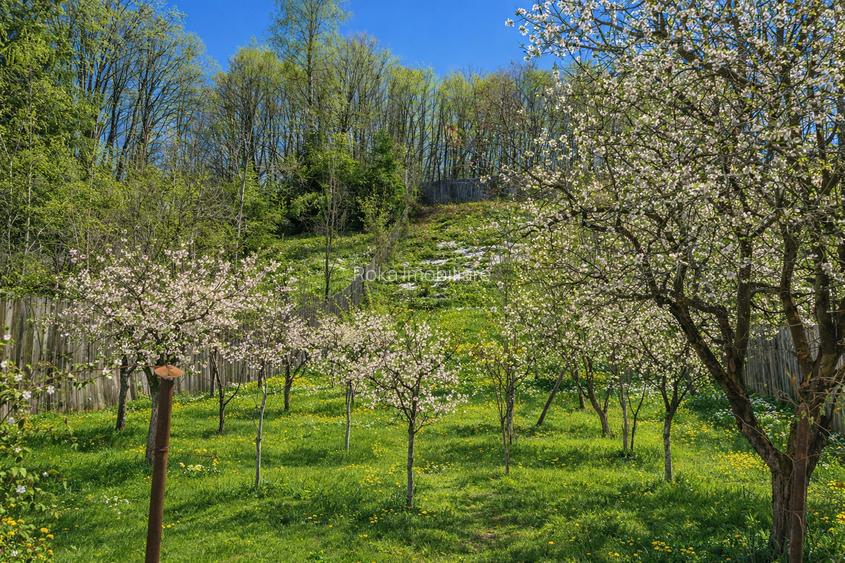 Proprietate montană,teren generos, casă solidă și autonomie energetică  Mălaia - 5