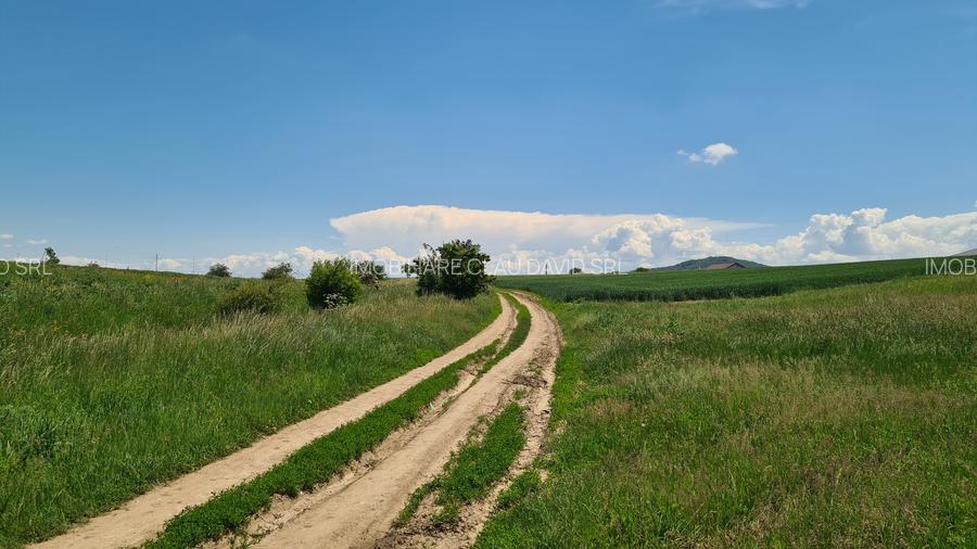 TEREN INTRAVILAN  BOD - 1200 mp pentru constructii case Sp+P+E+M - 13