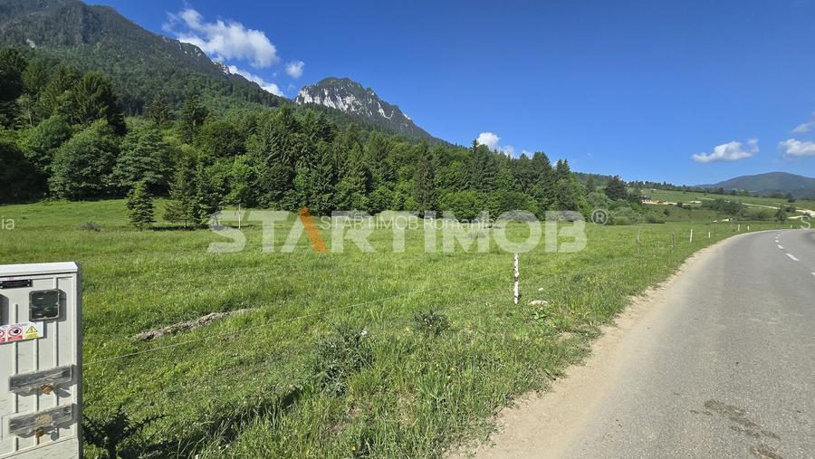 Teren intravilan Zarnesti Plaiul Foii - 8