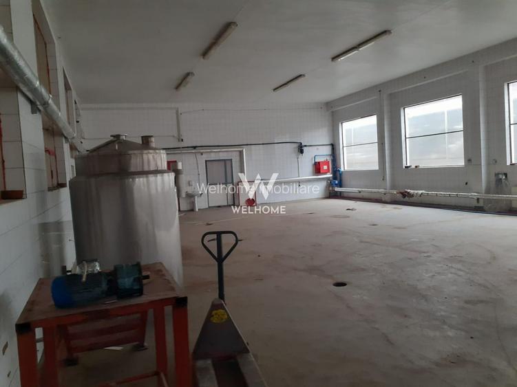 Hala de productie/depozitare si teren 15000 mp - Marsa -Sibiu - 6