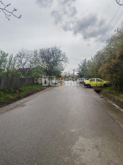 Teren intravilan in suprafata de 3160 mp, Puscasi, Poiana lui Alexa - 4