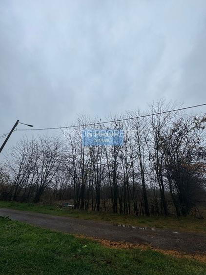 Teren intravilan Drumul Fermei - 4