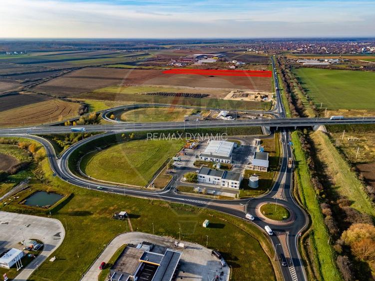 Teren 29220 mp Pecica,DN7, langa autostrada- Ideal pentru afaceri - 6
