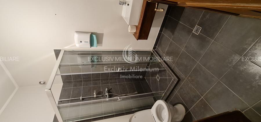 Parter Spatiu Birou ri la Vila/ Casa Piata Victoriei - Iancu de Hunedoara - 17