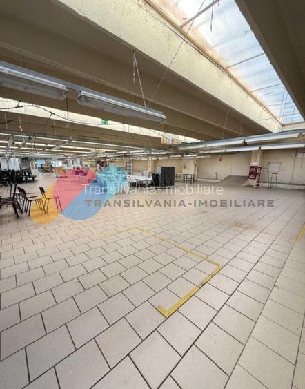 Spatiu industrial / birouri / hala - 1500 mp – Bd. Muncii, Cluj - 3