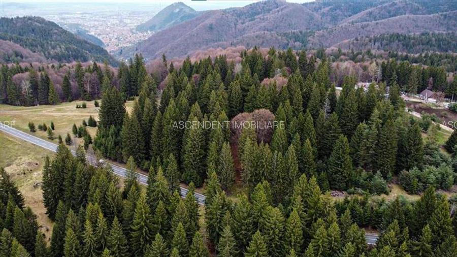 Teren cu potential:1.000 mp,proiect turistic/rezidential,Poiana Brasov - 14