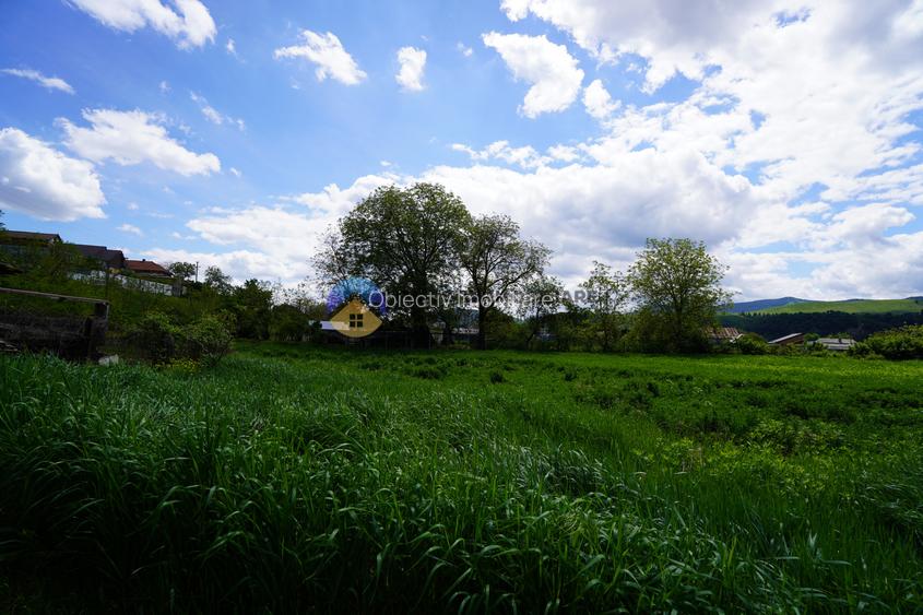 Teren 9000 mp intravilan Piatra Neamt , ideal investitie - 9