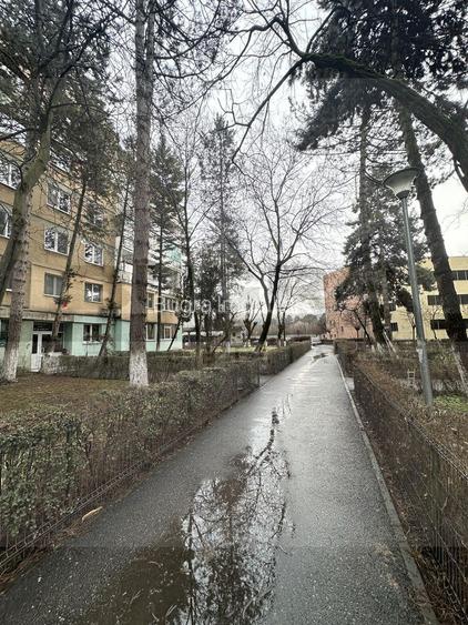 Apartament 3 camere decomandate, etaj intermediar, Parcul Detunata - 7