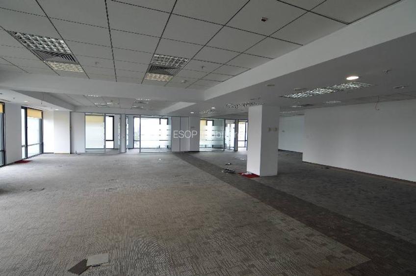 America House, Victoriei, 200 mp  0% comision! - 9