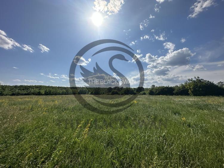 Teren Vanzare 11.000 MP Ghirdoveni | Comision 0% - 9