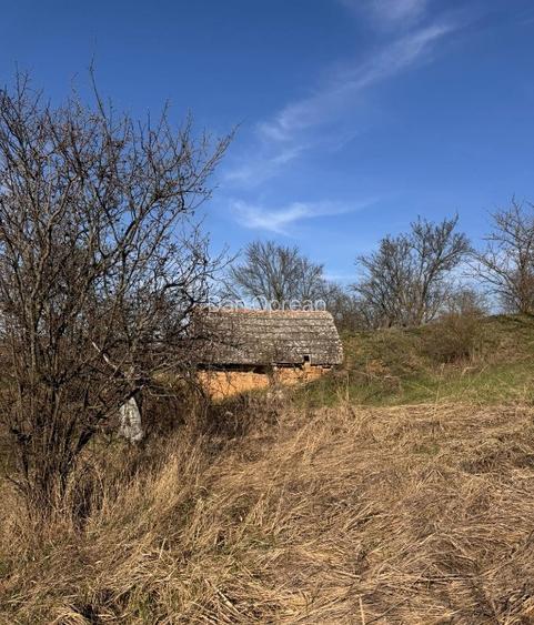 Teren intravilan panoramic 6700 mp – ideal vilă premium – aproape de Oradea - 3