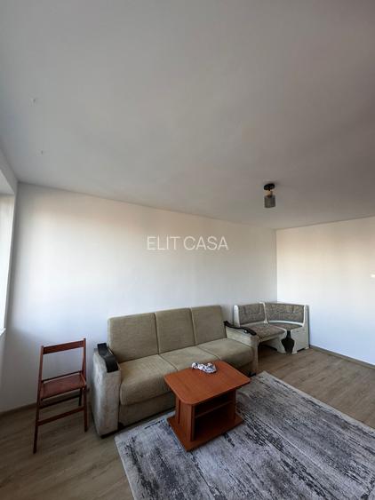 Apartament cu 1 camera, zona Podu Ros - 3