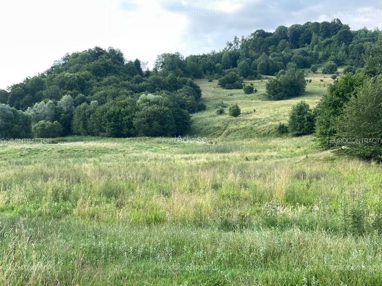 Teren Rasnov intranilan (PUZ) zona Cheia - 9