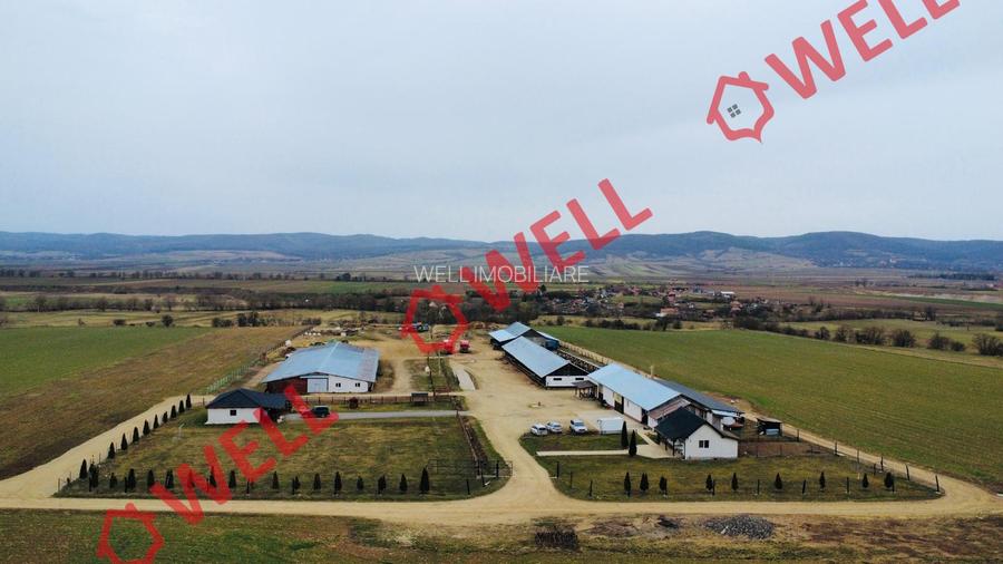 Ferma complet echipată de 22 de hectare de vânzare în Zoltan! - 3