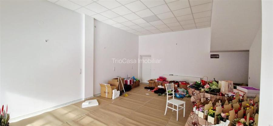 CASA / VILA - SPATIU COMERCIAL FILIASI VANZARE / CHIRIE - 21