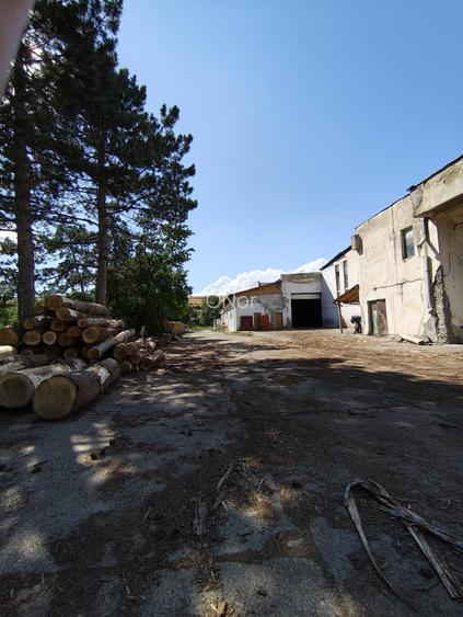 Teren+Hala Soseaua Bacaului-Vaslui 22.000mp - 7