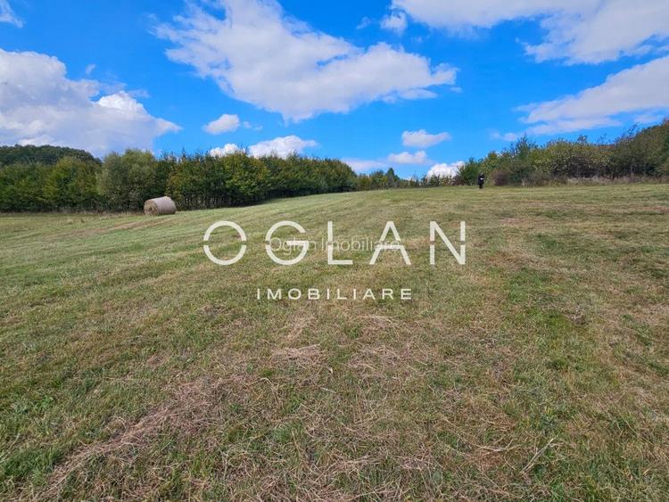Teren Tocile (parcelabil) 3500 mp  - 8