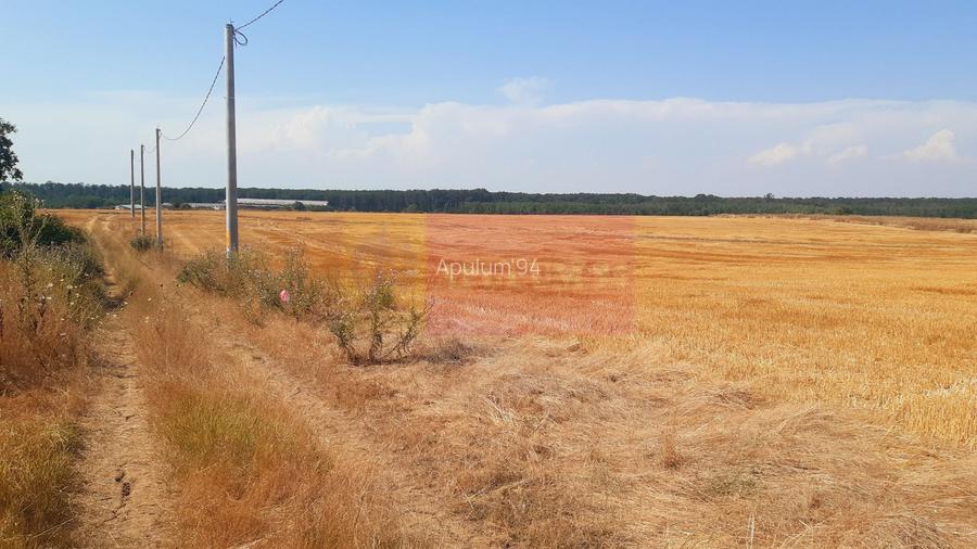 Teren pentru casă/case în Brănești pe strada Toporași - 23