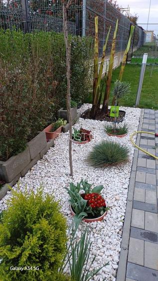 Comision 0% Duplex – Dumbrăvița 94 mp utili | teren 300 mp | - 4