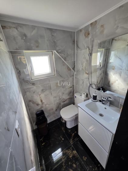 Vând teren cu iaz și livadă de nuci – Ilișești, aproape de Suceava - 8