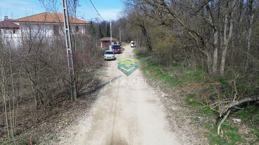 Teren || vis - a - vis de Padure - Balotesti || 2.000 mp - 3