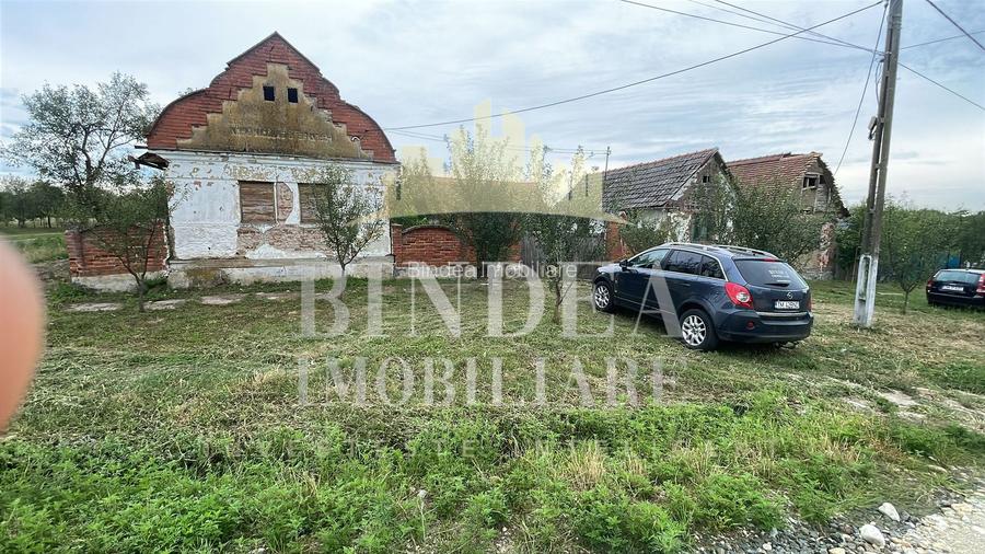 Casa Babsa, comuna Balint 2084mp teren - 6
