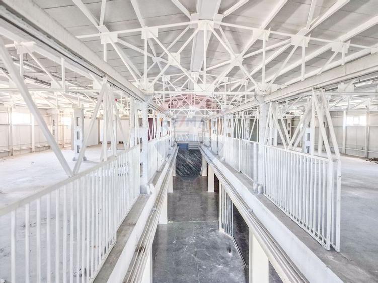 Hala beton P+E 1000 mp comercial, productie, depozitare Pipera Plaza - 7