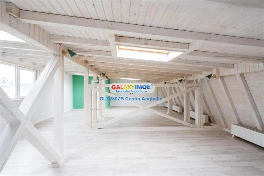 Vila Lux 5 Camere - Romana - 13