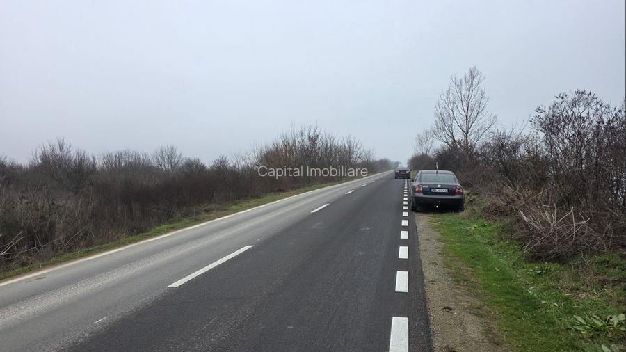 Teren 3000 mp dublu acces – vedere la Dunăre - 5