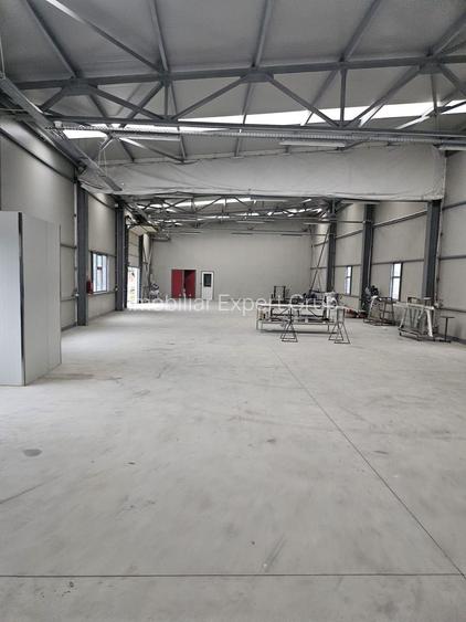 Hala 437 mp Domnesti - Pasaj - 8