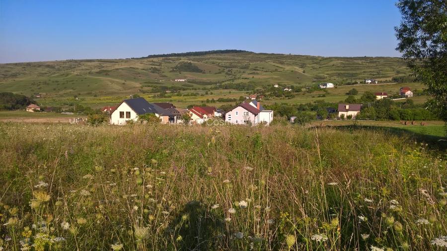 Teren intravilan la 500m de Hub-ul Educational Borhanci-Sopor - 3