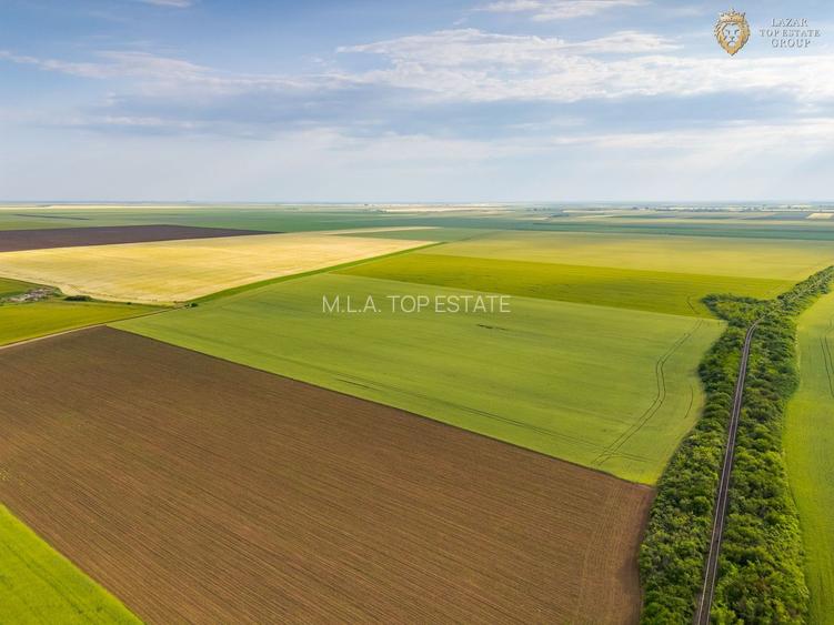 Teren Extravilan Arad de vanzare - 12