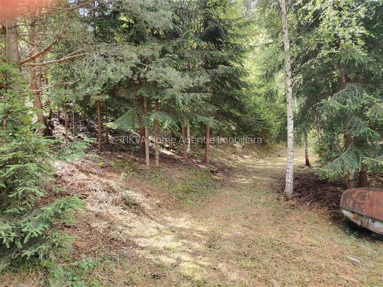 Casa de vacanta nefinalizata (Gheorgheni, zona Magasbukk, km 5) - 21