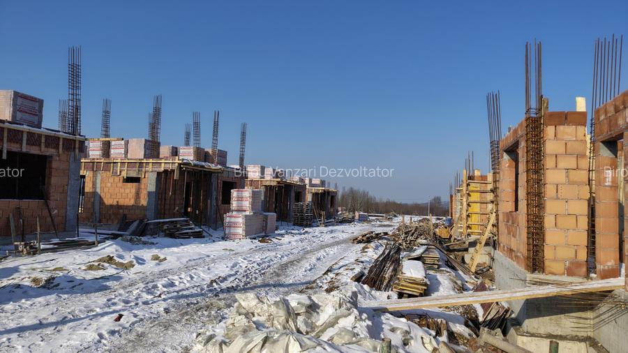 Vile individuale padurea Rosu  - 15