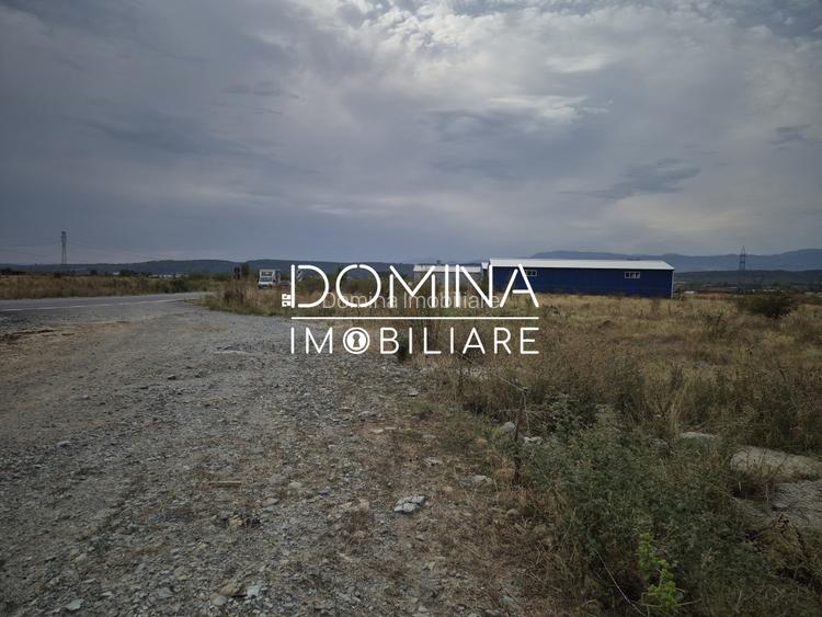 Vanzare teren intravilan - 1070 mp - strada Ciocarlau - spre Preajba - 8