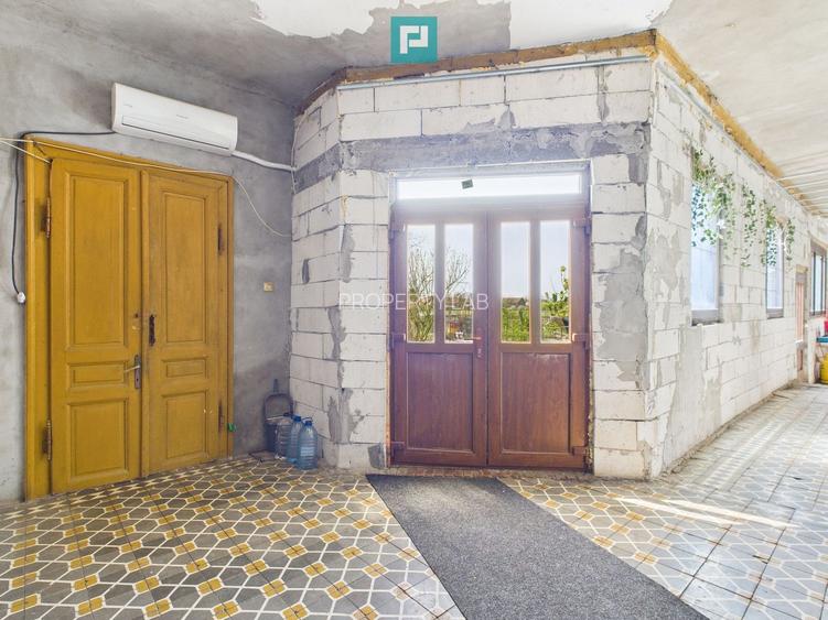 Casă cu grădină mare la 30 km de Timișoara - 20