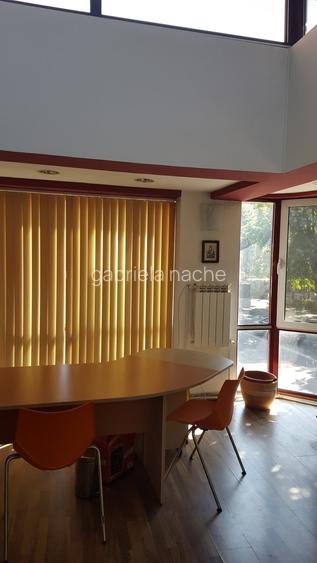 Persoana fizica vand Spatiu Comercial Ultracentral pe Bd. Ferdinand - 13