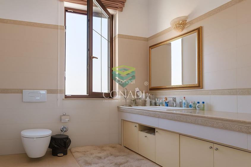 Zona Iancu Nicolae, vila cu 6 camere de vanzare, 407 mp construiti - 9