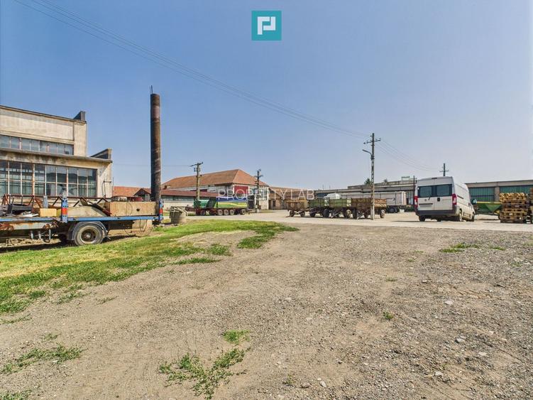 Complex industrial cu hale și teren  în Orțișoara - 32