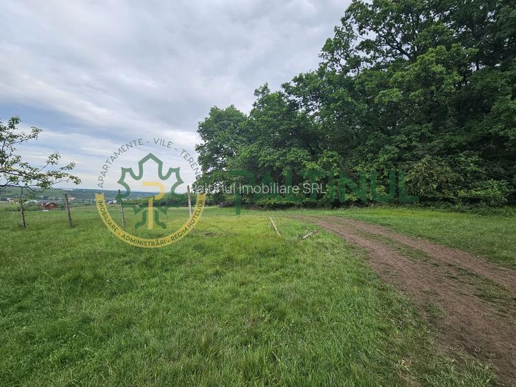 Teren 5.000 mp cu priveliște superbă – Cisnădie, Sibiu - 5