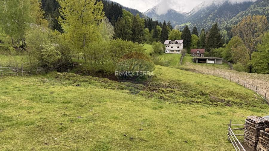 BORSA jud MARAMURES TEREN INTRAVILAN pentru CABANA - 9