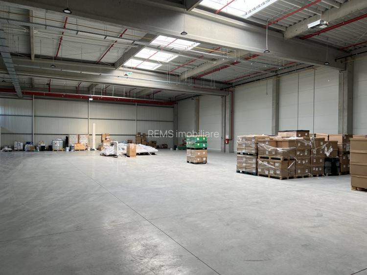 Hala moderna / Productie / Depozitare - 4
