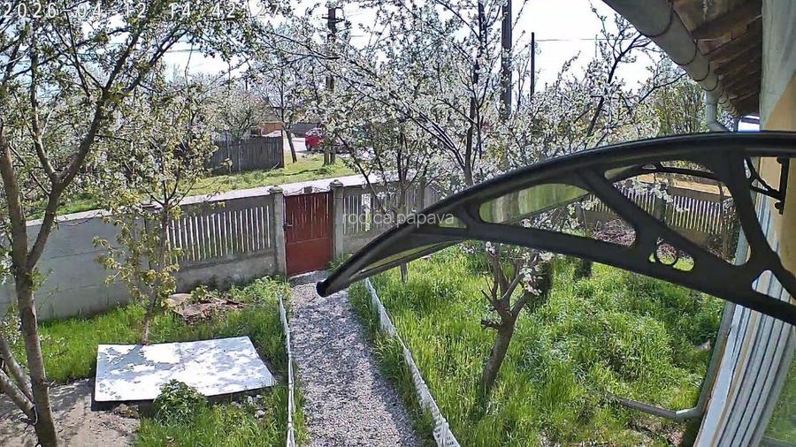 Proprietar,casa renovata ,teren 2000 mp deschidere 113 m,Farcasele Olt - 16