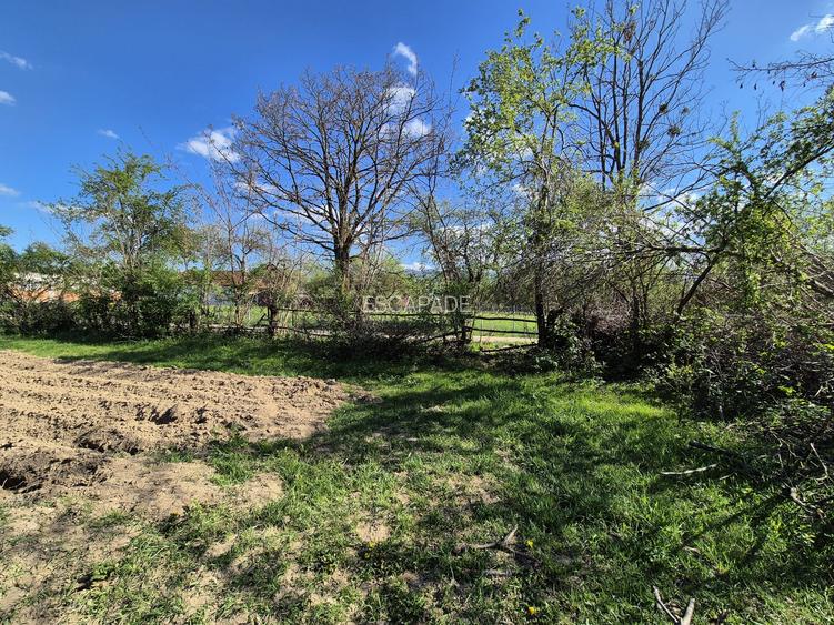 Comision 0 %/ Teren intravilan Sercaita 2247 mp - 7