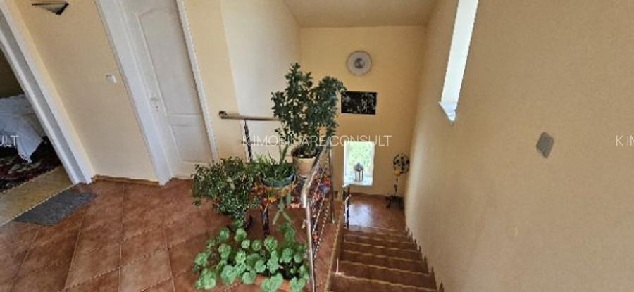 Ciopani vila 5 camere teren 4000 mp - 31