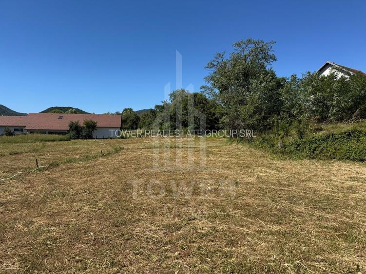 4 Parcele de vanzare | Rasinari - 2