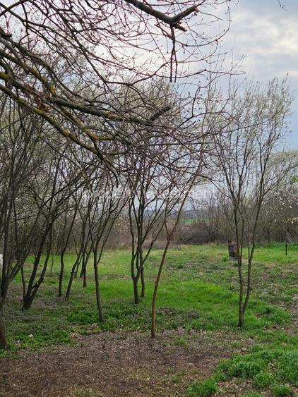 Casa de vacanta Bucsani, Obedeni - 9