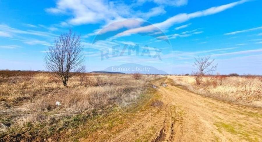 Teren Extravilan la granita cu Intravilanul - Măcheaua-Corbeanca - 4