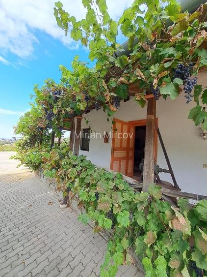 Proprietate istorică , crama +vie DOC + distilerie +loc. evenimente+ 20000 vin - 10