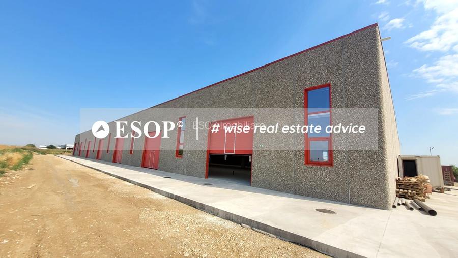 Hale industriale, parc modern, Rudeni, Chitila, Ilfov- ID 15462 - 21